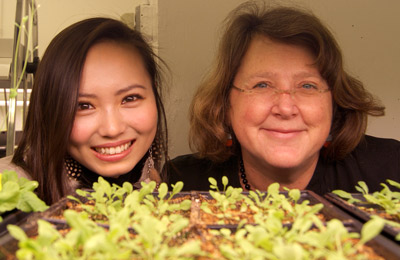 Researcher Chihiro Hirai and Principal Investigator Mary Wildermuth